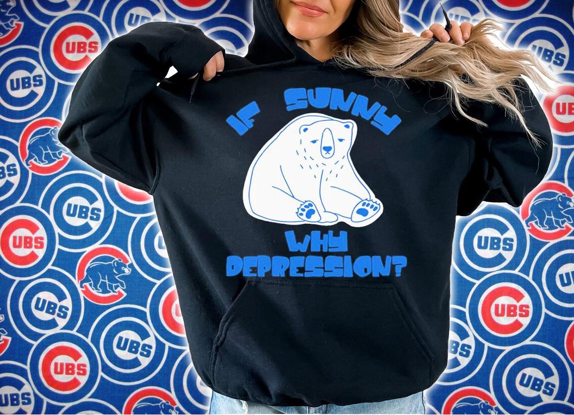 If Sunny Why Deppression Shirt t-shirt hoodie