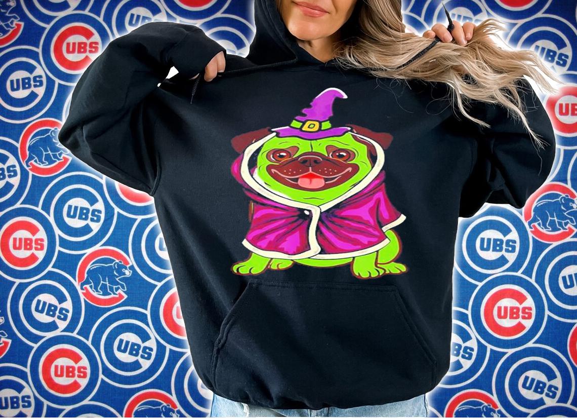 Green Witch Pug Cute Dog Halloween Costume Pug-o-ween Funny shirt t-shirt