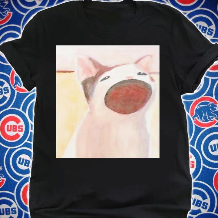 Memes I Wish Pyrrhica Pop Cat Print Set T-Shirt t-shirt