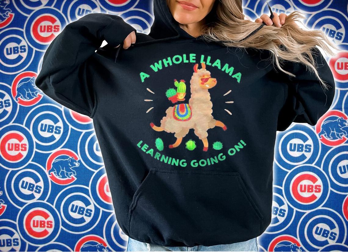 A Whole Llama Learning Going On Tee Teachers Gifts Shirt t-shirt
