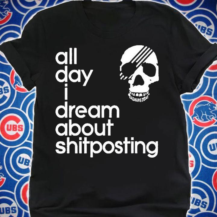 Skull all day I dream about shitposting T-shirt t-shirt shirt