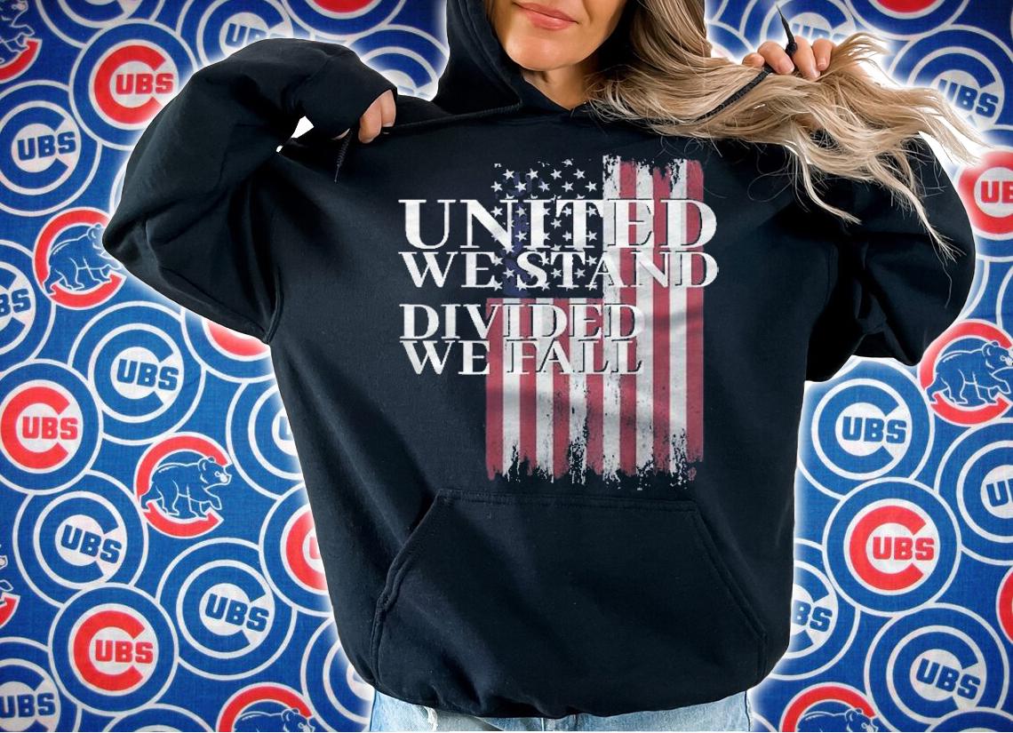 United We Stand Divided We Fall Usa Patriotic Flag Gift Shirt t-shirt