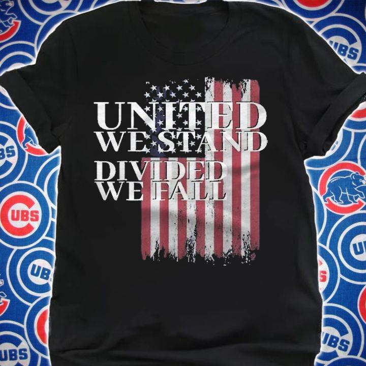 United We Stand Divided We Fall Usa Patriotic Flag Gift Shirt t-shirt