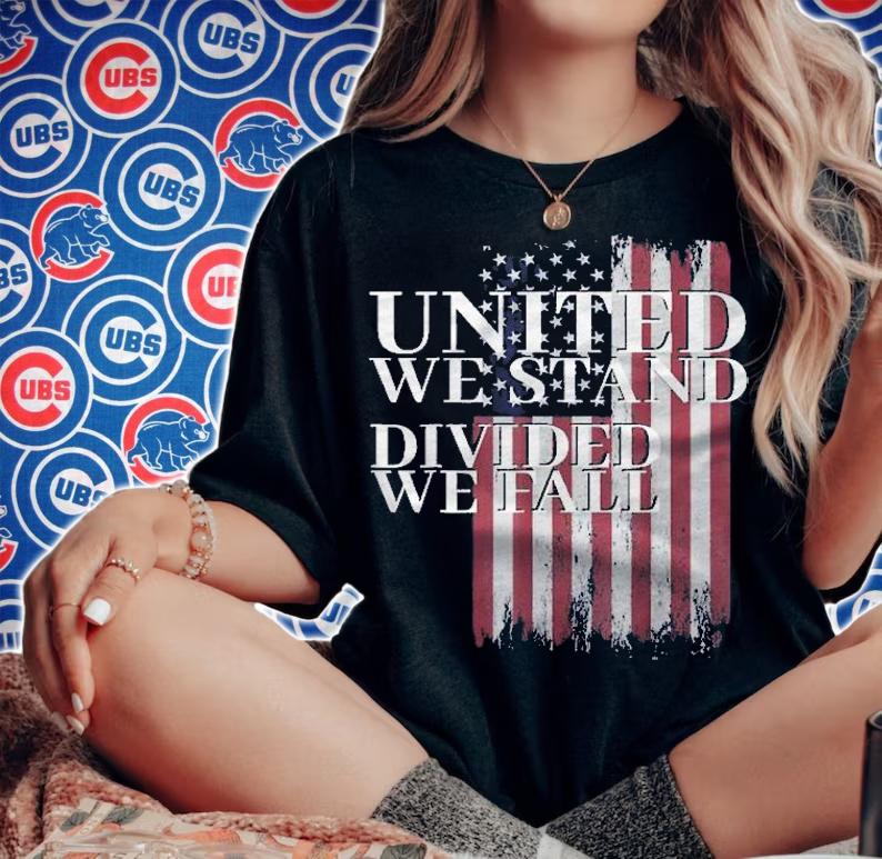 United We Stand Divided We Fall Usa Patriotic Flag Gift Shirt t-shirt