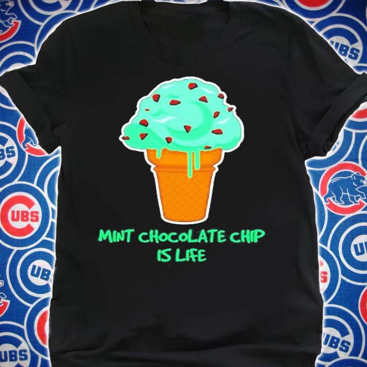 Life Funny Ice Cream Quote Mint Chocolate Chip T-Shirt t-shirt shirt