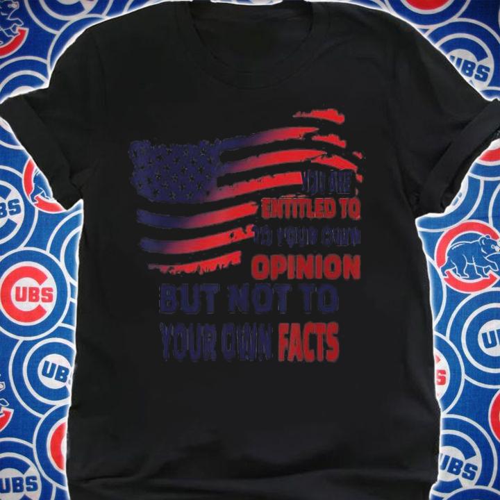 You Are Entitled To Your Own Opinion But Not T-Shirt t-shirt shirt