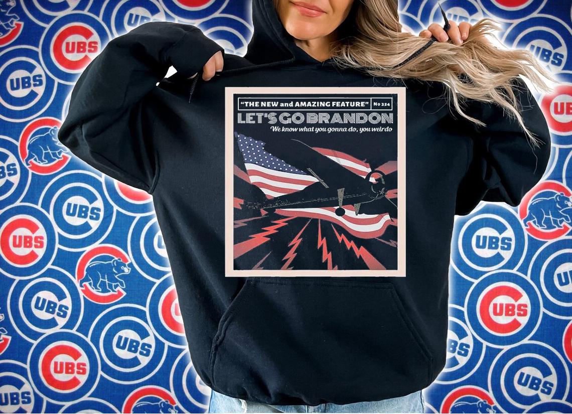 Let's Go Brandon Conservative US Flag Anti Liberal Brandon Lets Go T-Shirt hoodie